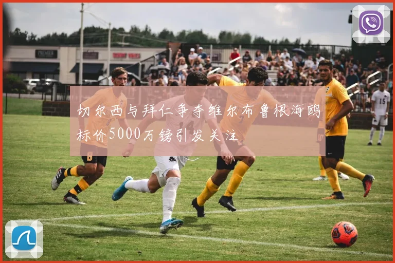 切尔西与拜仁争夺维尔布鲁根海鸥标价5000万镑引发关注