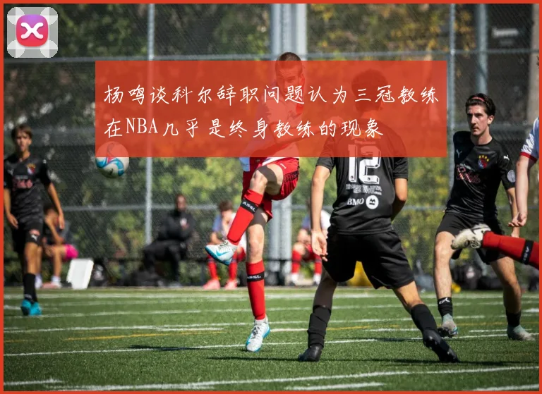 杨鸣谈科尔辞职问题认为三冠教练在NBA几乎是终身教练的现象